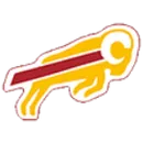 S & S Consolidated High School logo