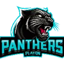 Playon Panther logo