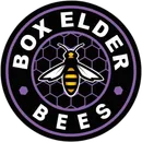 Box Elder High School logo
