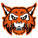 Verona Area High School logo