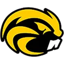 Riverside High School - Painesville logo