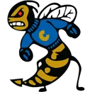 Choctaw High School logo
