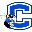 Chelsea High School logo