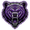 Mesa Ridge High School logo