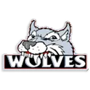 Fayetteville High School logo