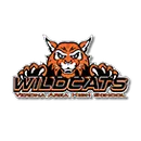Verona Area High School logo