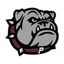 Palisade logo