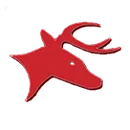 Bucktail Area High School logo