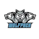 Ridgeview High School logo