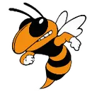 Henning High School logo