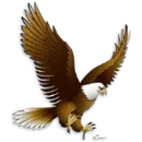 Brandon High School logo