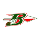 Berlin High School logo