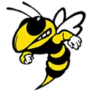 Sar High School logo