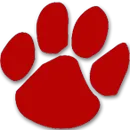 Copper Basin High School logo