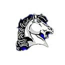 Round Valley High School logo