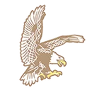 Cook Inlet Academy logo