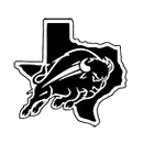 Forsan High School logo