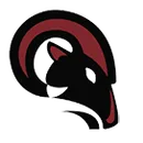 New Life Christian School logo