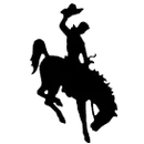 Sidney High School logo