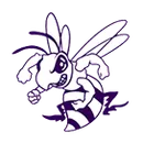 Irion County High School logo
