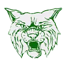 Adirondack Senior High School logo