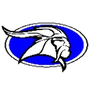 Valley High School logo