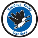 Rondout Valley Senior High School logo