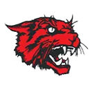 New London logo