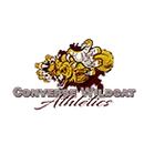 Converse High School logo