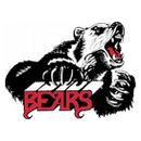 Delhi High School logo