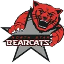 North Star High School logo