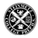 Steinmetz High School logo