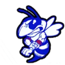 Nashville Community High School logo