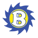 Brooklyn High School logo