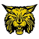 Carrier Mills-Stonefort High School logo