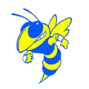 Mountain View High School logo