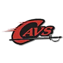 Holston High School logo