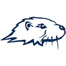 Riverstone International School logo
