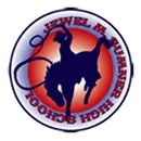 Jewel Sumner High School logo