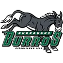 Burroughs High School - Ridgecrest logo