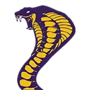 Fountain Lake High School logo