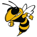 Lookout Valley Middle-High School logo