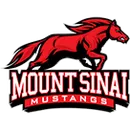 Mount Sinai Senior High School logo