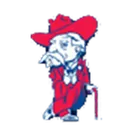 Summerfield High School logo