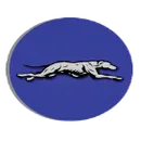 Statesville High School logo