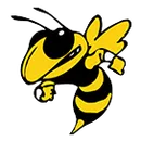 Vanderbilt Area School logo