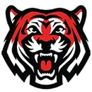 Donaldsonville High School logo
