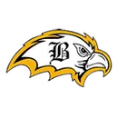 Brownsville Area High School logo