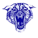 Blair-Taylor High School logo