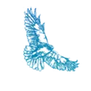 Mt. Madonna High School logo